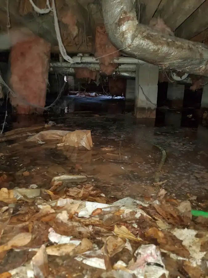 Crawl space flood assessment for Commercial Water Damage Restoration in Pearl City