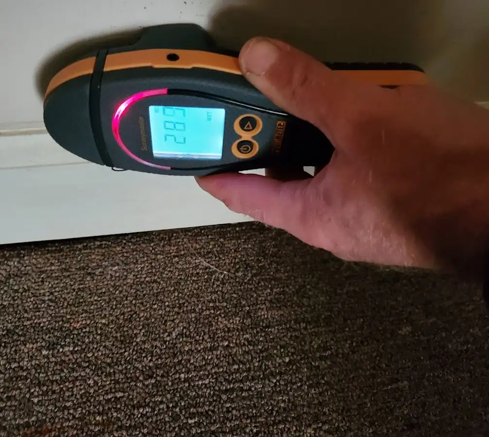 Moisture detection at baseboard during Burst Pipe Cleanup in Pearl City